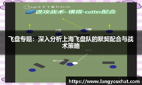 飞盘专题：深入分析上海飞盘队的默契配合与战术策略